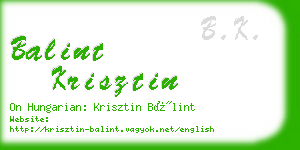 balint krisztin business card